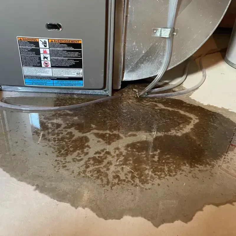 Appliance Leak Cleanup in Springfield, OR